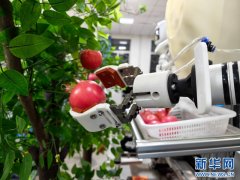 “双胞胎”机械人：以科技赋能果业复兴&hellip;
